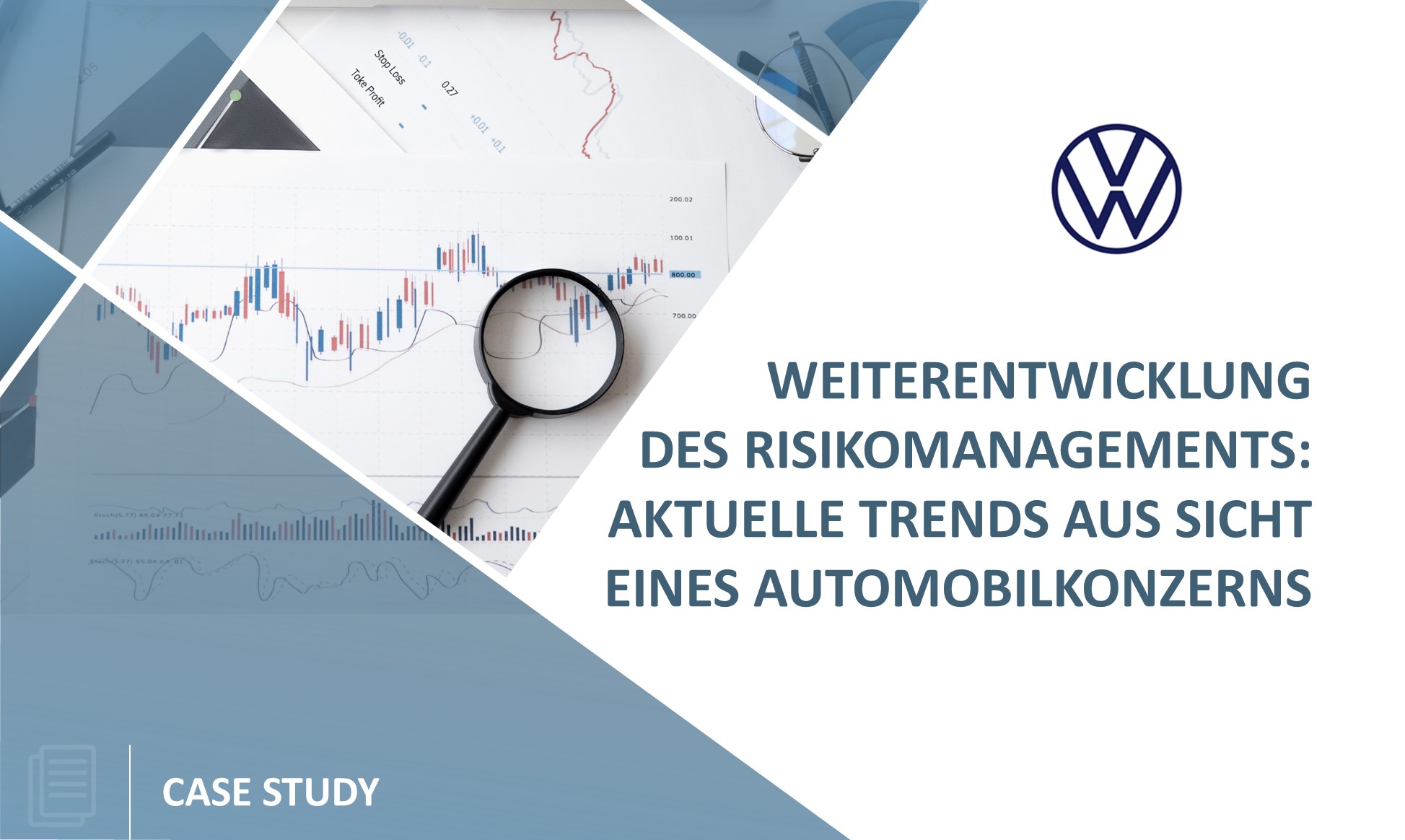 volkswagen risk management case study